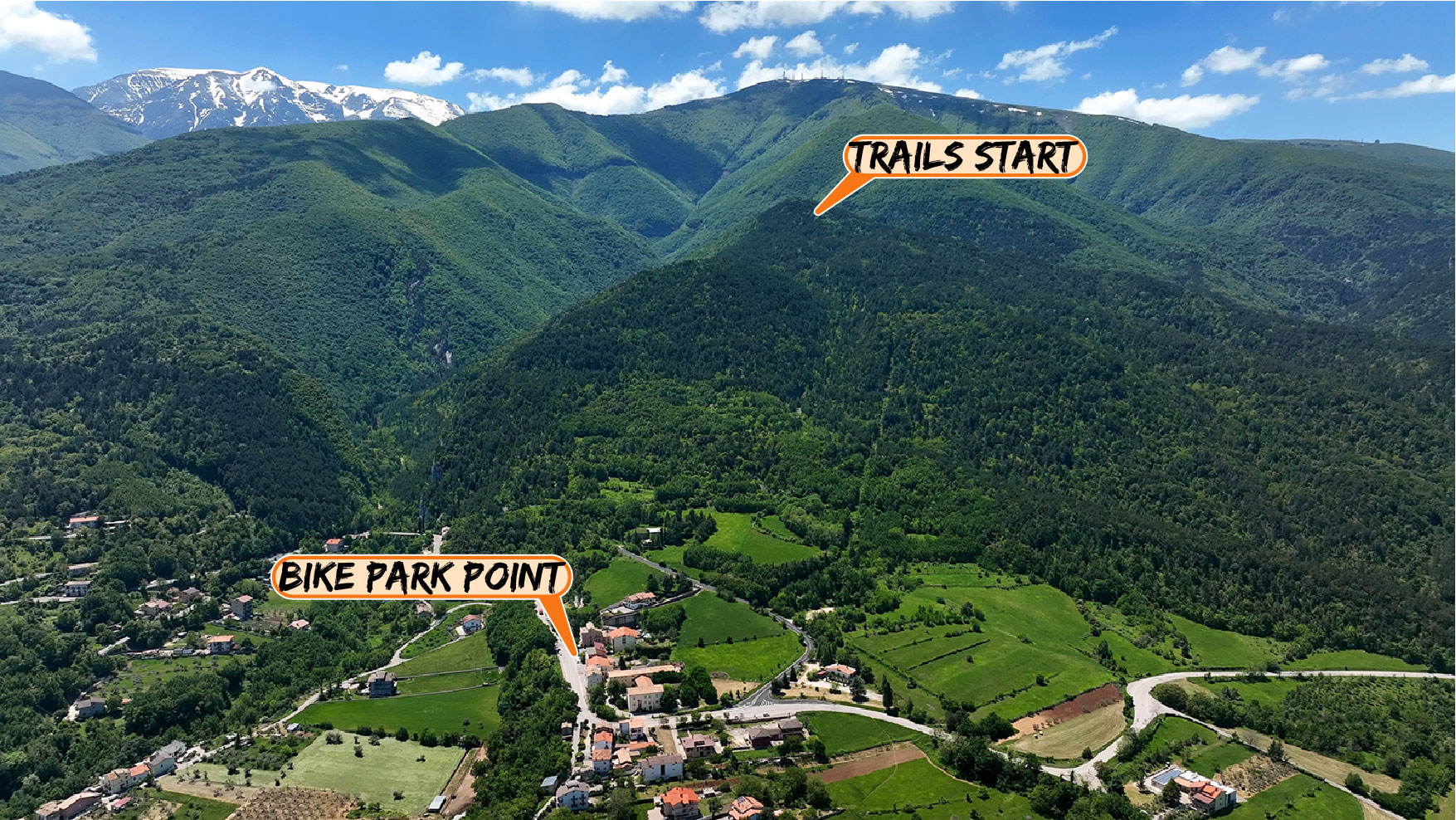 BDV_Panorama_etichette